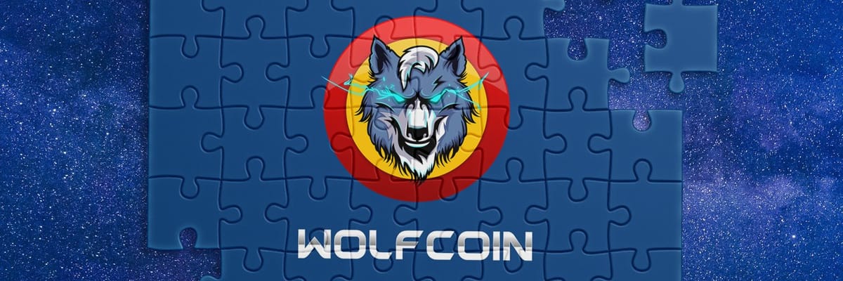 Investment Analysis Report: WOLF Cryptocurrency